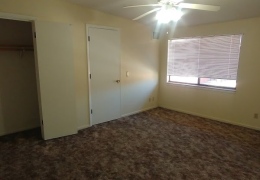 apartment bedroom with dark carpet and cream walls, a ceiling fan and light white closet doors there is light flowing in from the windows and it is empty of furniture and ready for rent